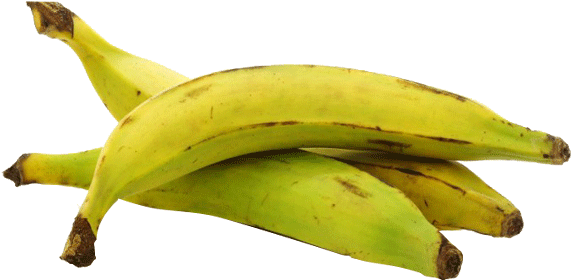 Plantain Canada (700x700), Png Download