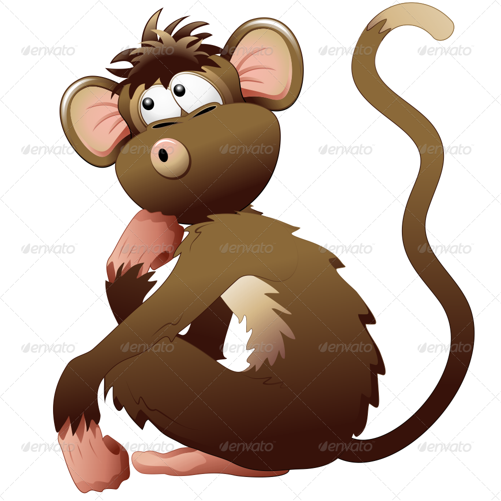 1000 Zebra Png 1000 B Wild Animals Cartoon Jpg - Wild Animals Image In Cartoon Png (1001x1001), Png Download