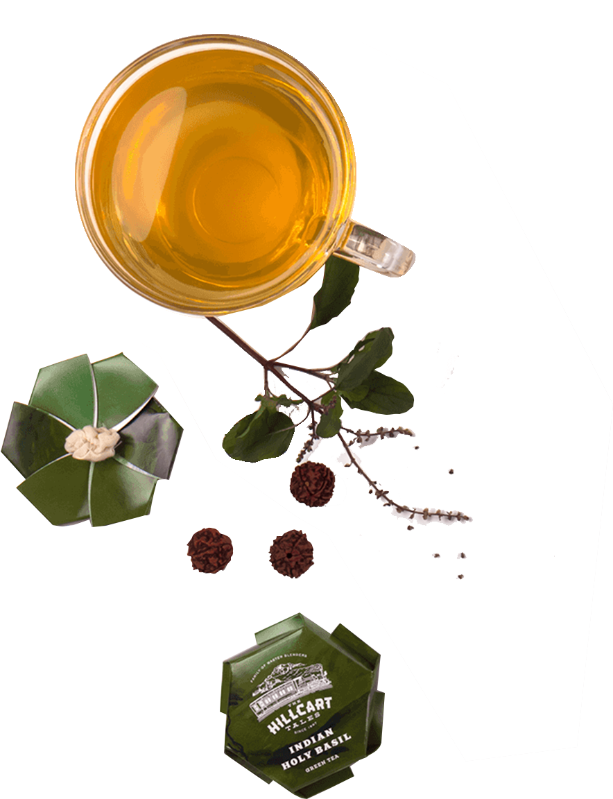 Catalog/green Tea/indian Holy Basil T - Graphic Design (1300x1300), Png Download