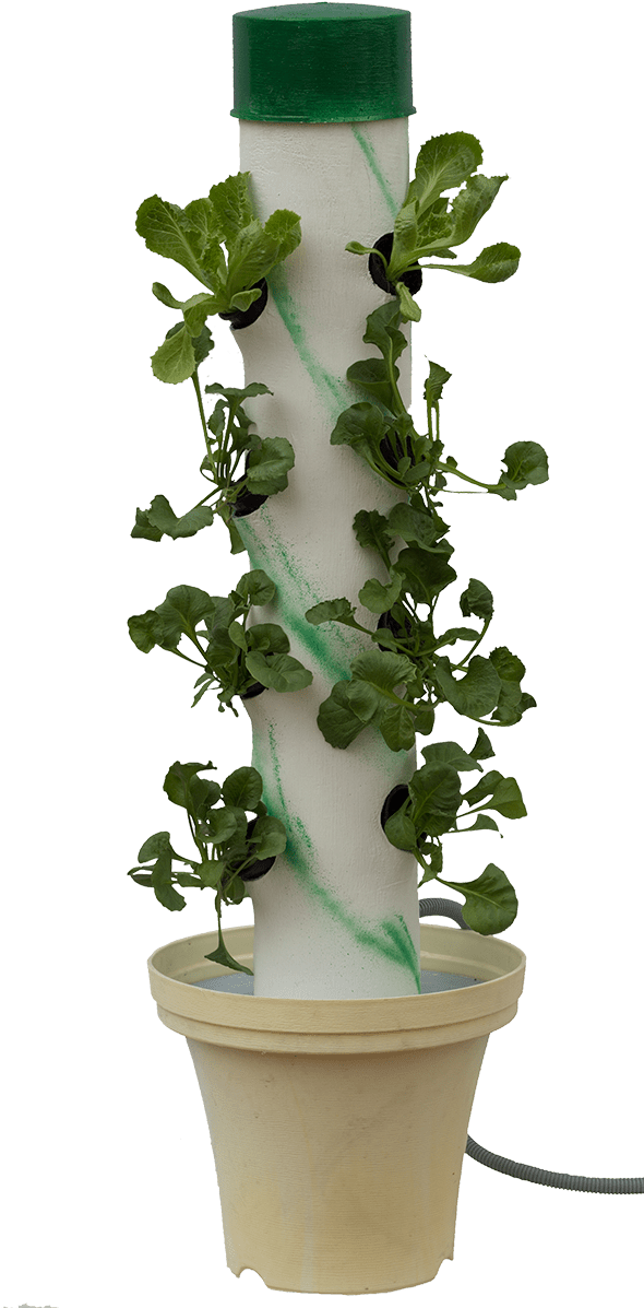 Cut Down On Food Waste - Houseplant (589x1225), Png Download