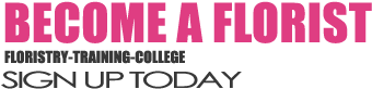 Florrie Give Me Your Love (940x430), Png Download