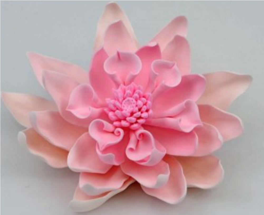 Gumpaste Extra Large Dahlia Pink - Dahlia (1000x1000), Png Download