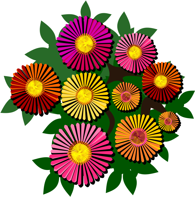 Flower (800x800), Png Download