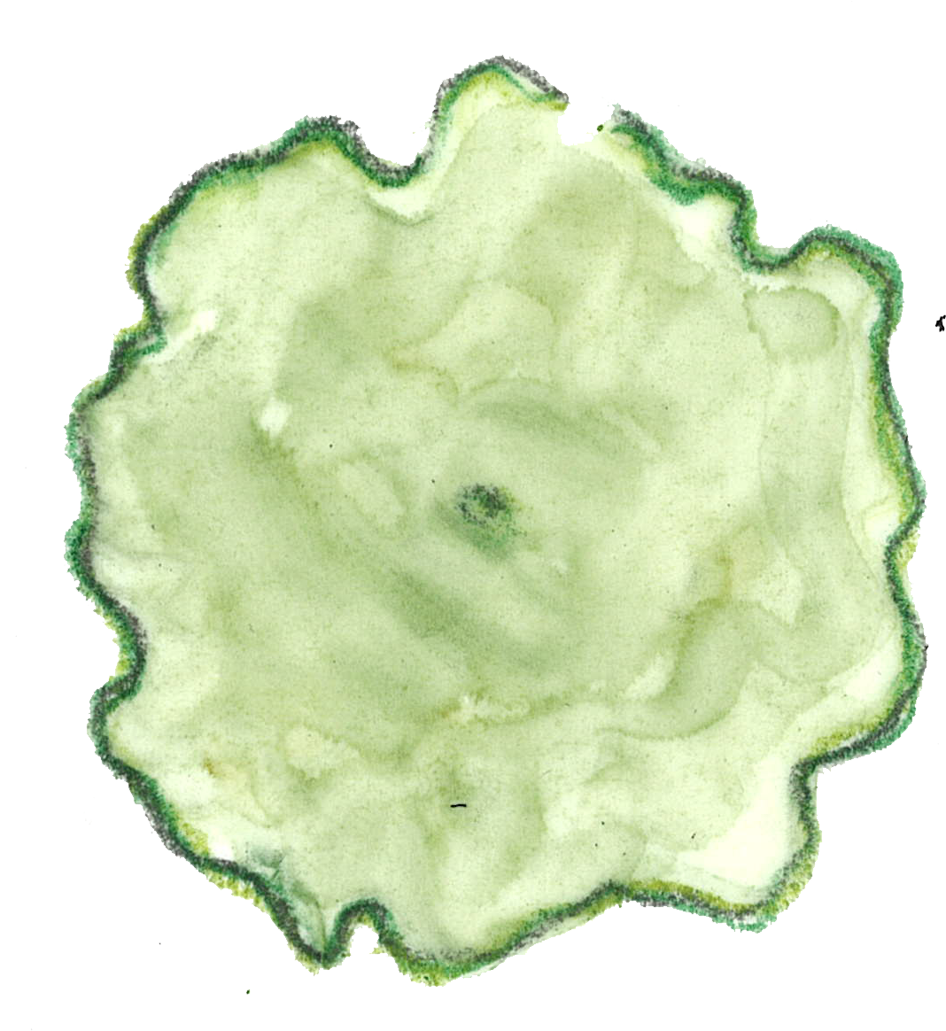 Tree 2 1001 Kb - Porcelain (1195x1186), Png Download