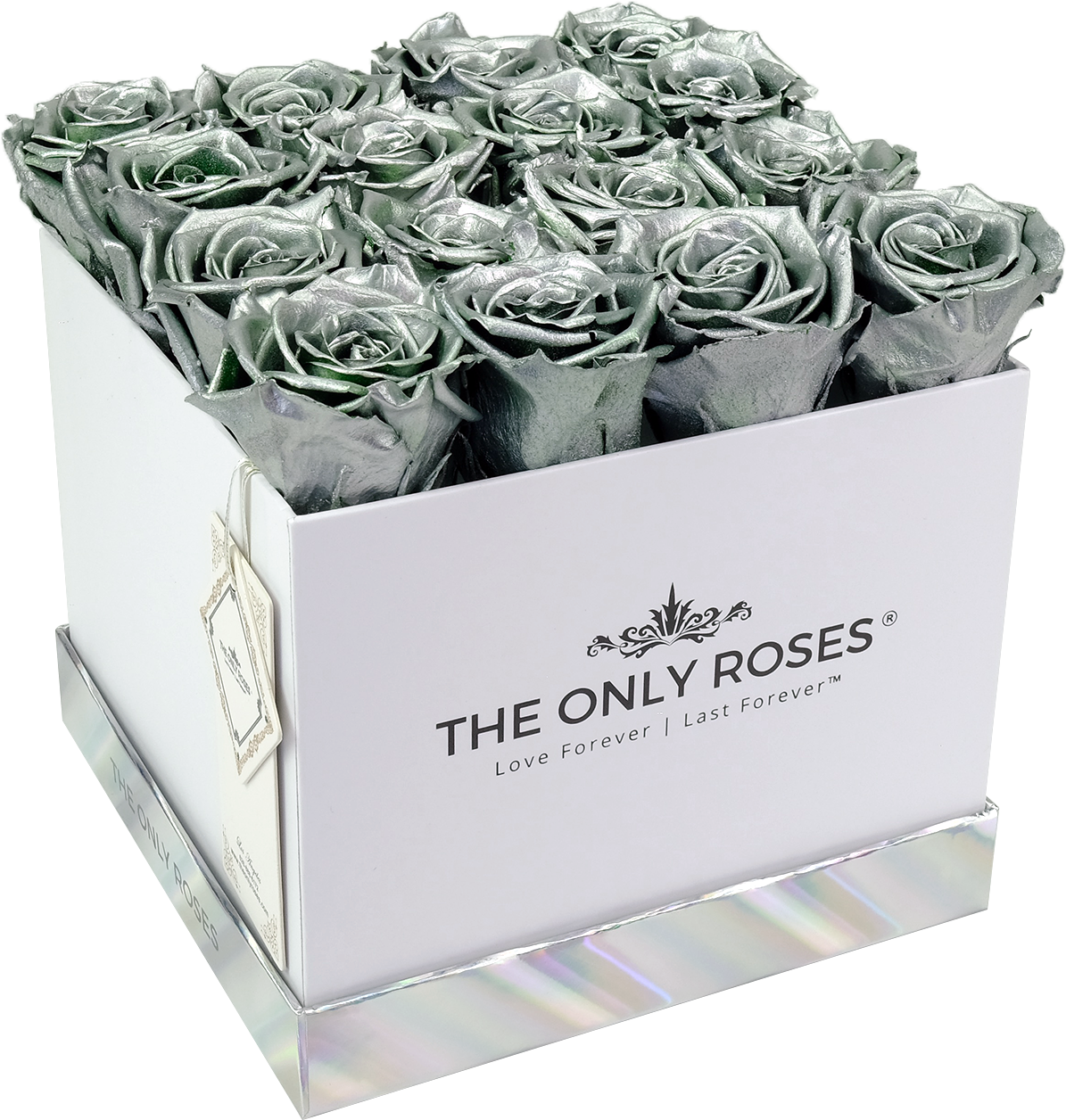 Silver Preserved Roses - Box (2048x2048), Png Download
