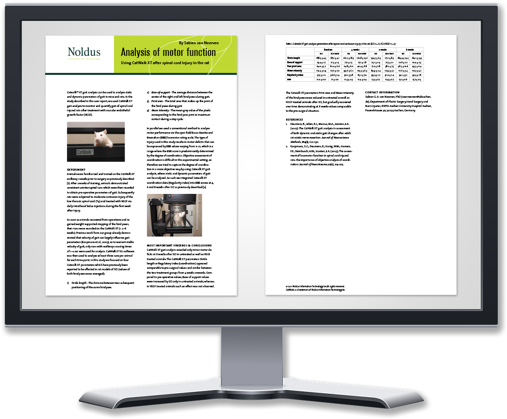 Casestudy Display Catwalk - Computer Monitor (1200x936), Png Download