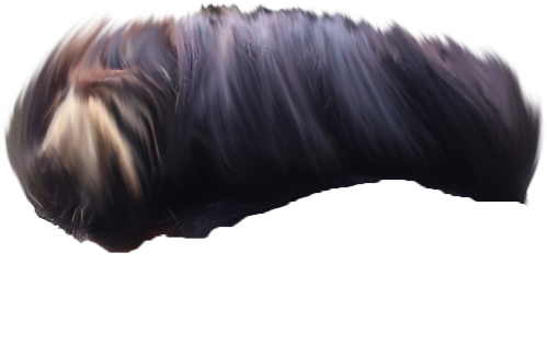 Hair Png ➤ Download - Close-up (780x768), Png Download