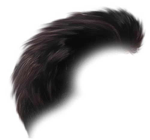 Hair Png - Lace Wig (668x588), Png Download