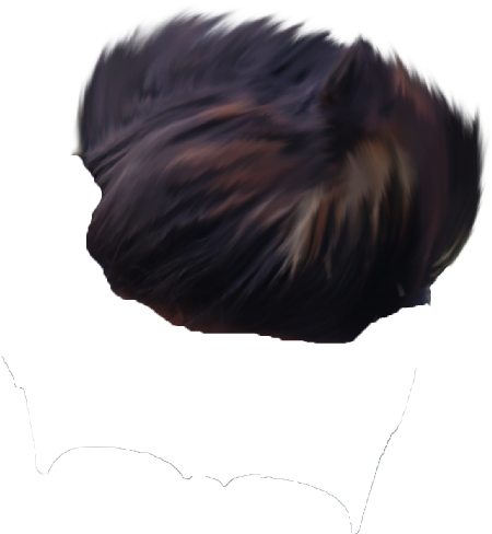 Hair Png ➤ Download - Lace Wig (873x768), Png Download