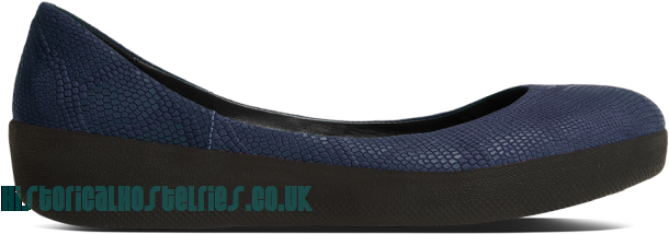 Womens Fitflop Navy Suede Lizard Print Superballerina - Ballet Flat (640x640), Png Download