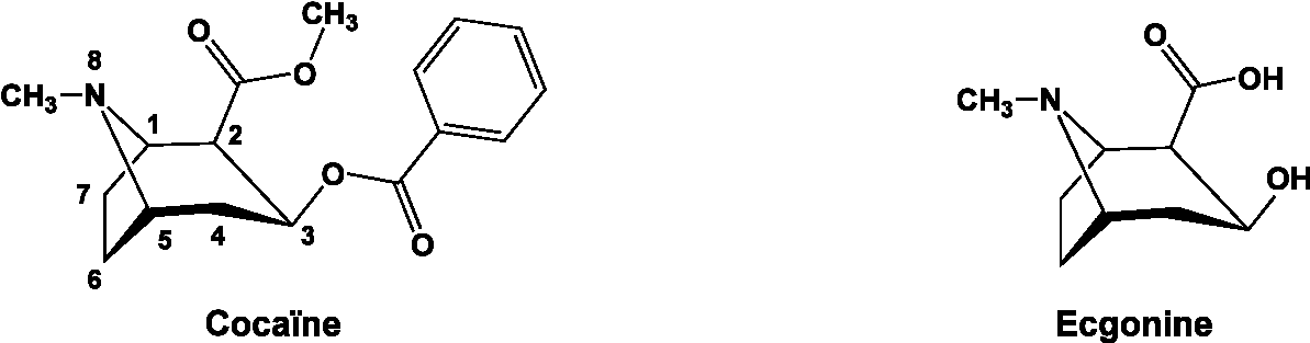 Un Peu D'histoire - Drawing (1203x324), Png Download