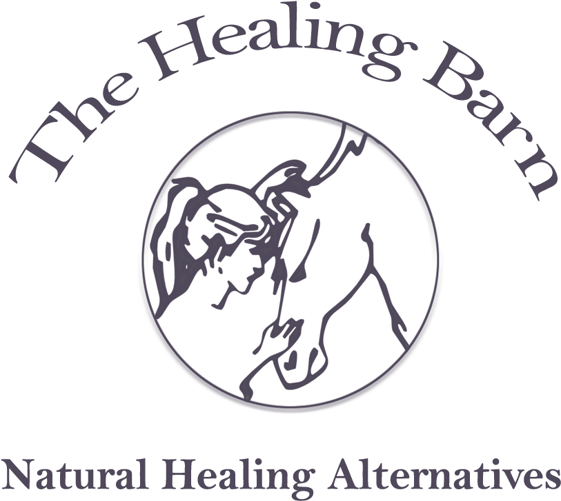 The Healing Barn - Illustration (1000x1000), Png Download