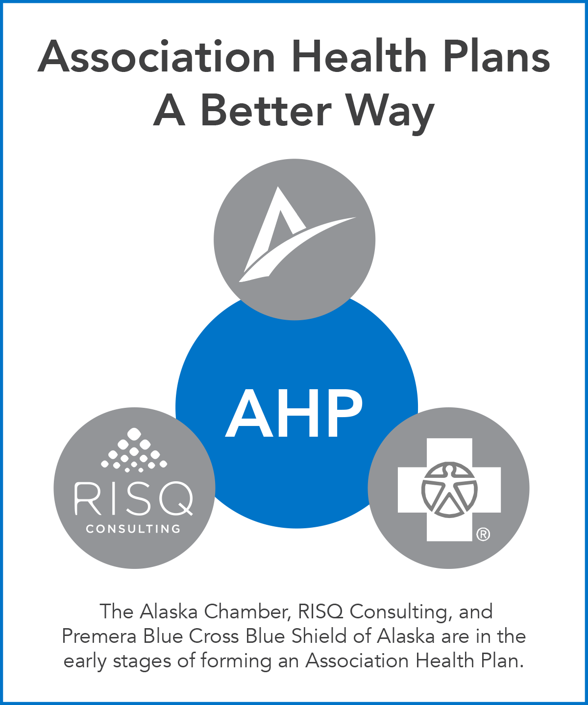 15 Ahp Graphic - Blue Cross Blue Shield (1200x1440), Png Download