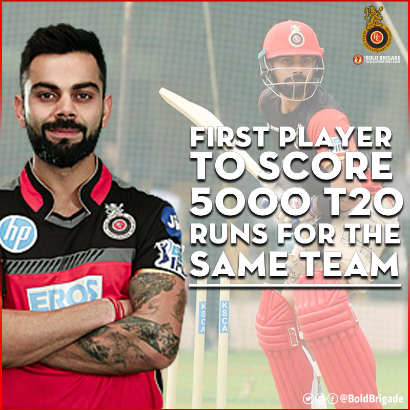 Rcb Bold Brigade - Player (800x800), Png Download