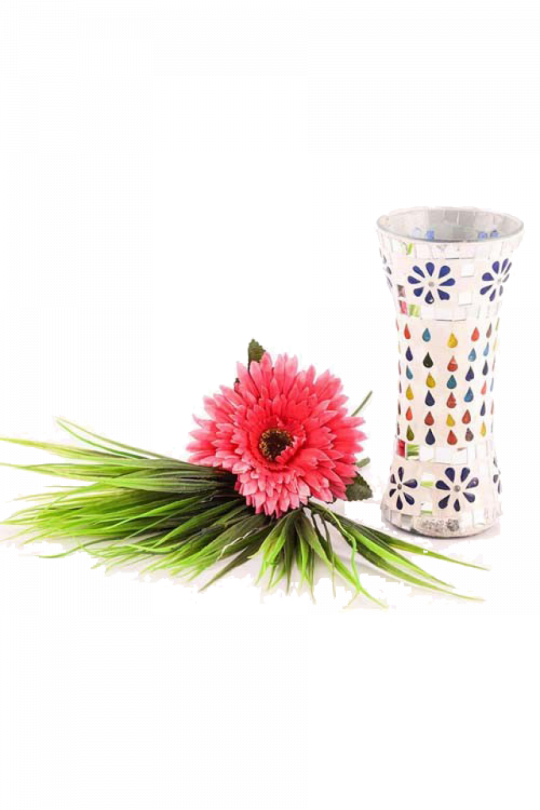 Barberton Daisy (540x810), Png Download