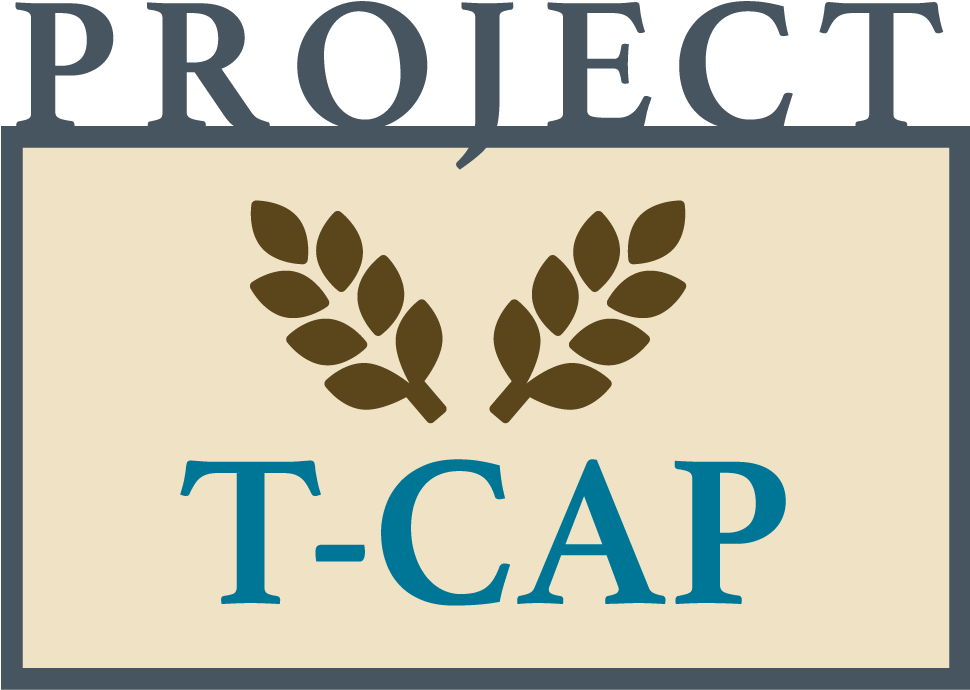 Tcap - Cangea (969x728), Png Download
