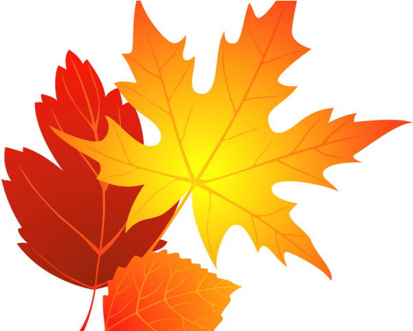 Leaves Clipart Oval Leaf - Fall Leaves Png Clipart (640x480), Png Download
