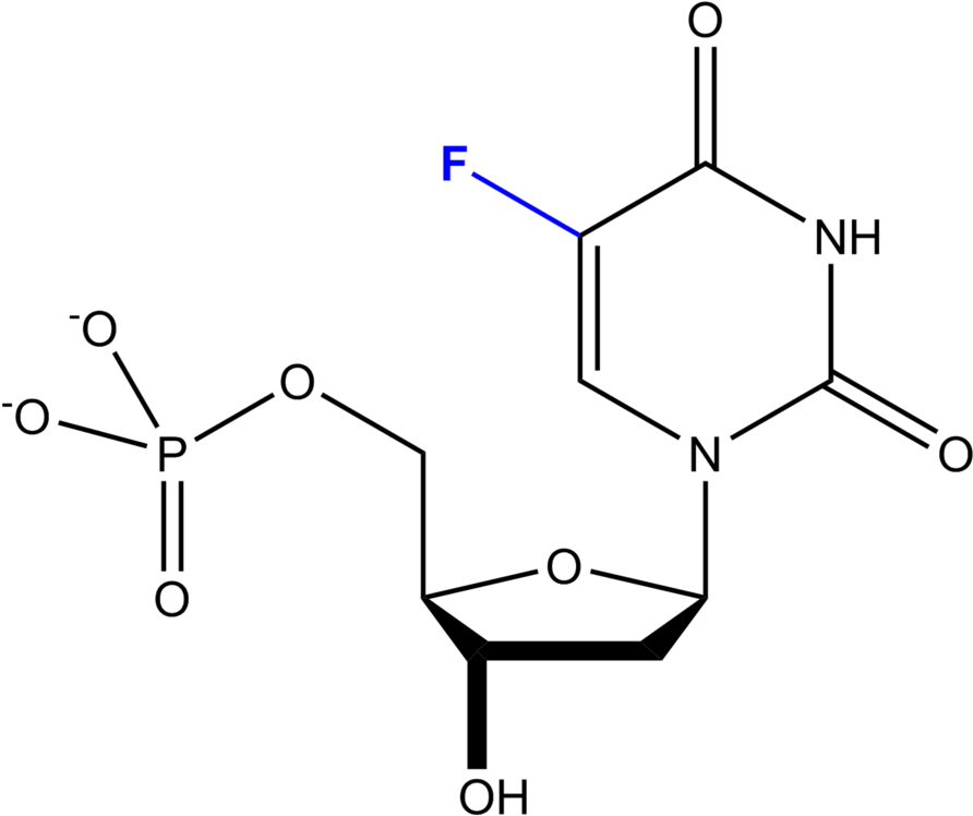 File - 5-fluorodesoxiuridilato - Zidovudine (910x768), Png Download