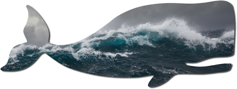 New Zealand Waves (1000x377), Png Download