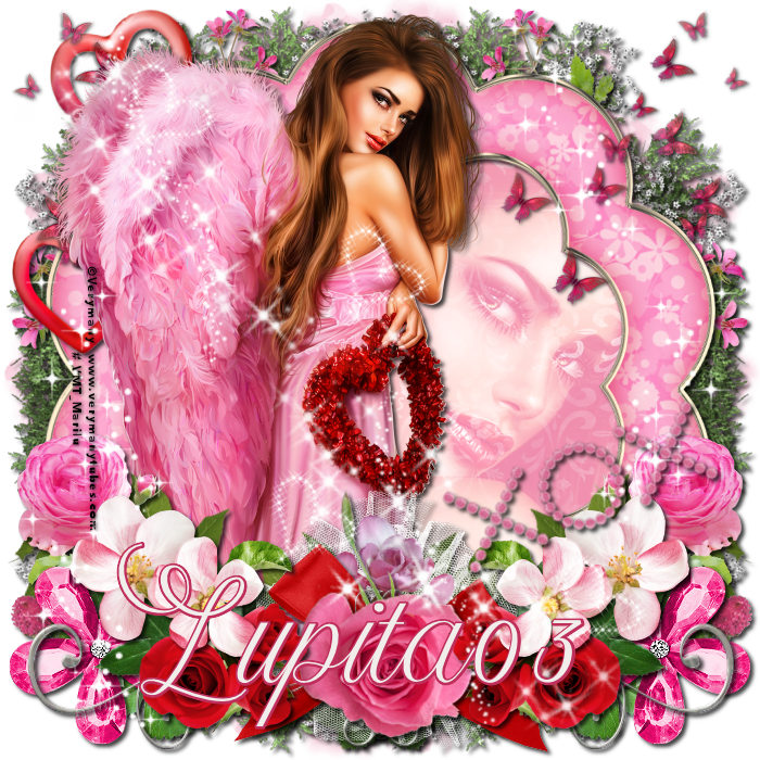 Daddy Yankee & Snow - Garden Roses (700x700), Png Download