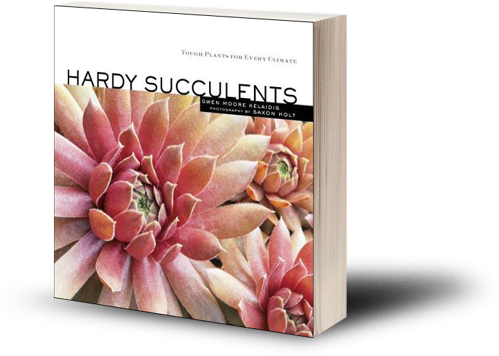 95 Add To Cart - Hardy Succulents: Tough Plants For Every Climate (720x720), Png Download