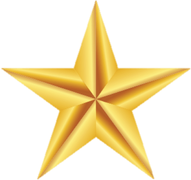 Careers - Dark Gold Star Png (665x636), Png Download