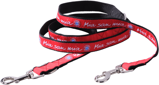 Strap (660x660), Png Download