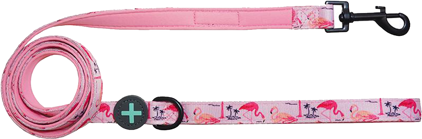 Strap (1602x1602), Png Download