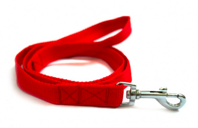 Nylon Dog Leash - Strap (645x645), Png Download