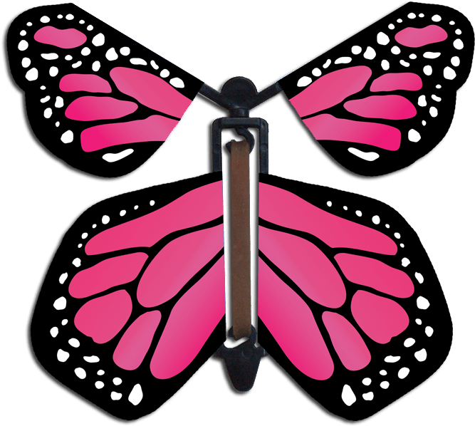 Pretty In Pink Wind Up Flying Butterfly - Happy New Year Butterfly (678x612), Png Download