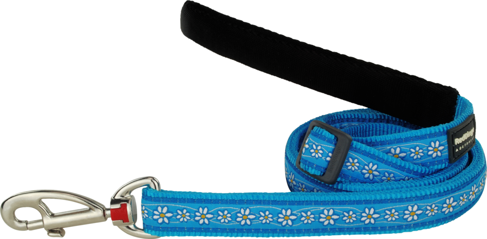 Strap (1000x492), Png Download