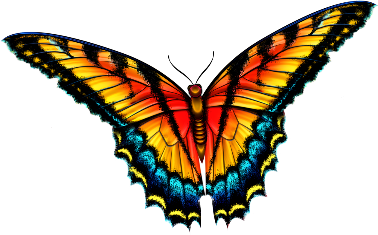 Butterfly - Spirit Animal Cards Colette Baron Reid (1280x932), Png Download