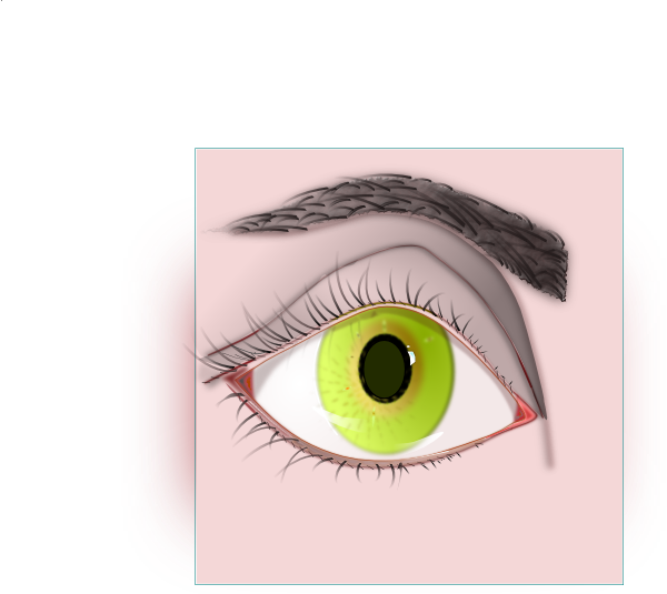Female Eye And Eyebrow Clip Art At - Clip Art (600x535), Png Download