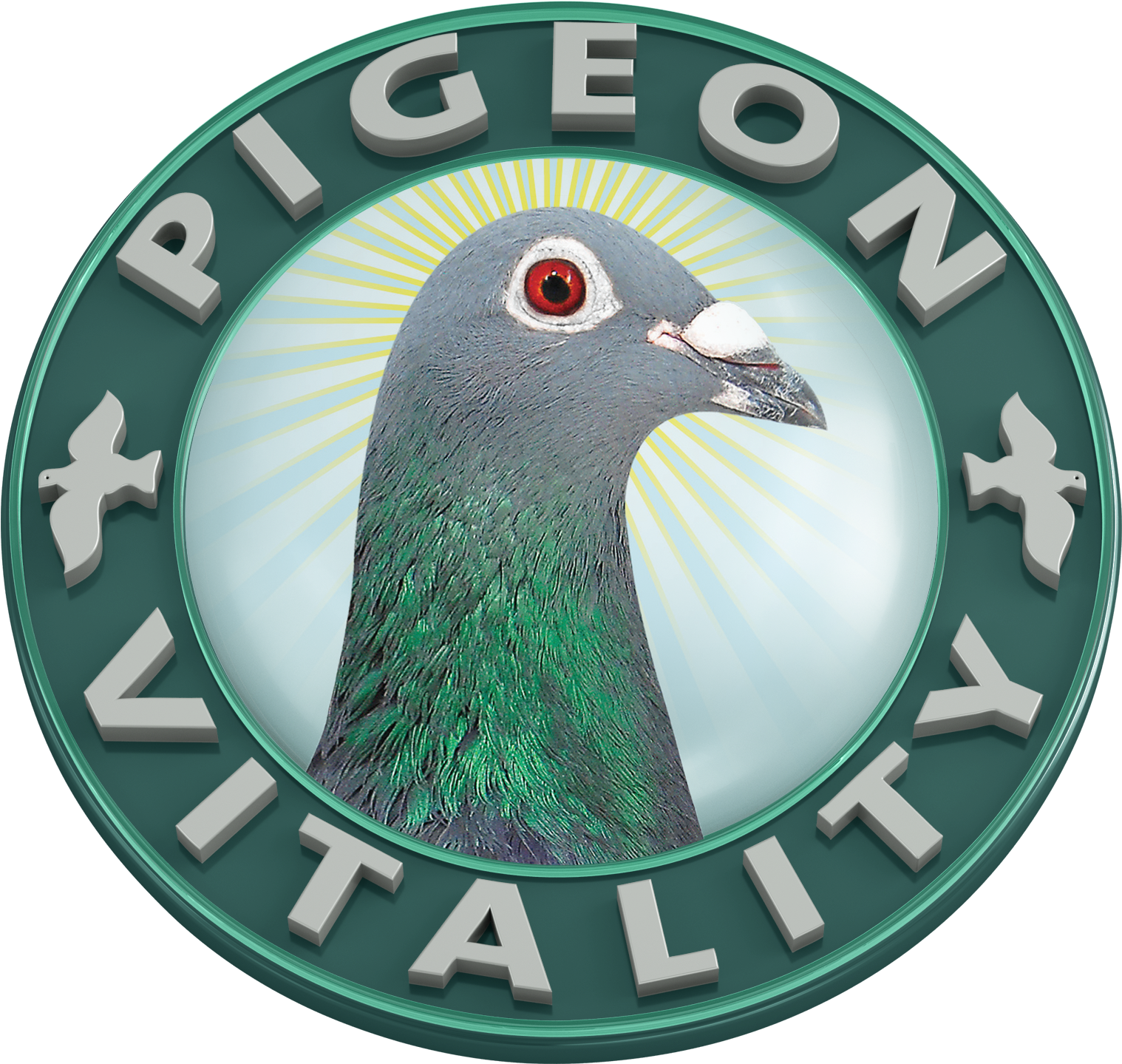 Vitality Pigeon (1700x1700), Png Download
