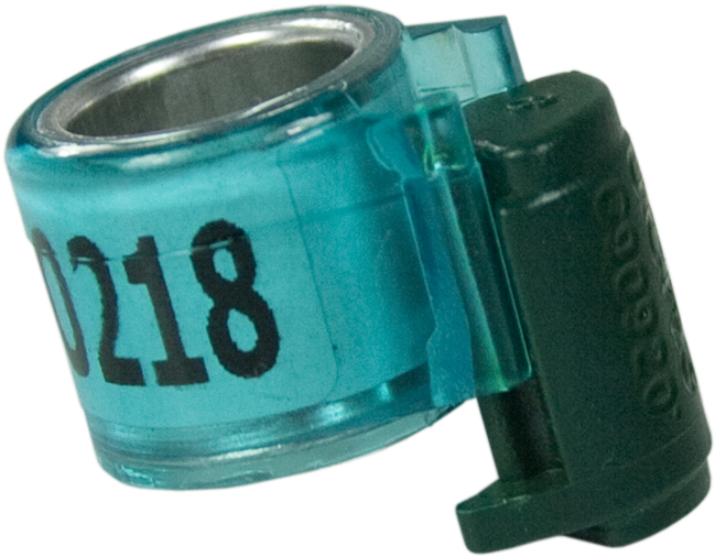 Chip - Pigeon Ring Sensor (800x522), Png Download