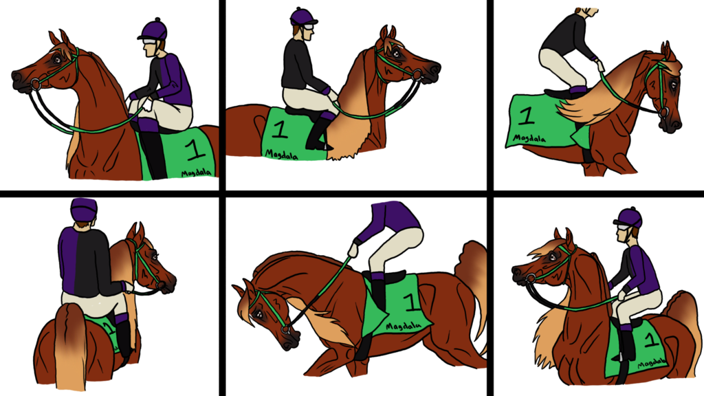 Magdala Races By Angry Horse For Life - Sorrel (1024x576), Png Download