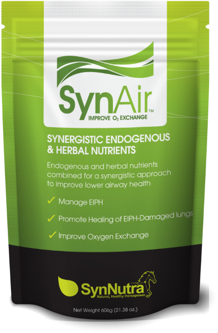 Synair Eiph Management For Horses - Kangaroo (800x800), Png Download