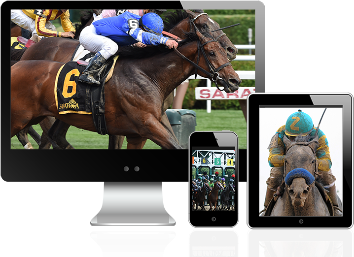 Horse Betting Png (780x569), Png Download