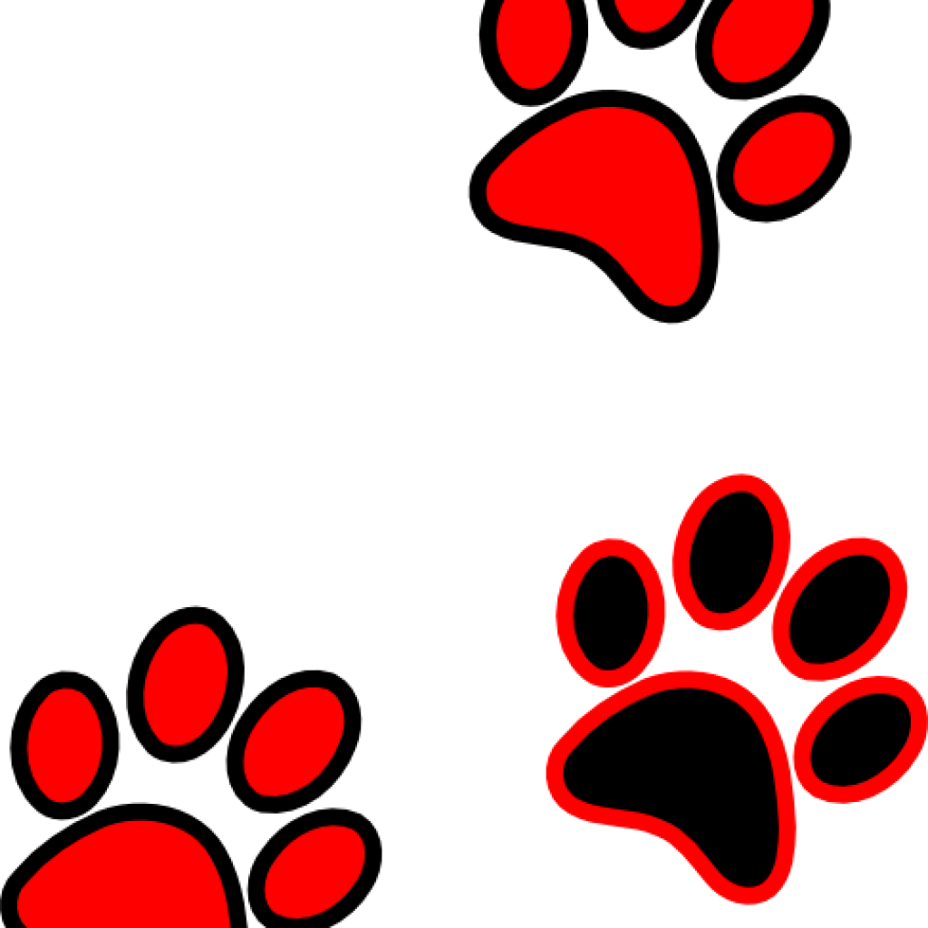 Jaguar Paw Print Clip Art 19 Jaguar Paw Print Image - Clip Art (1024x1024), Png Download