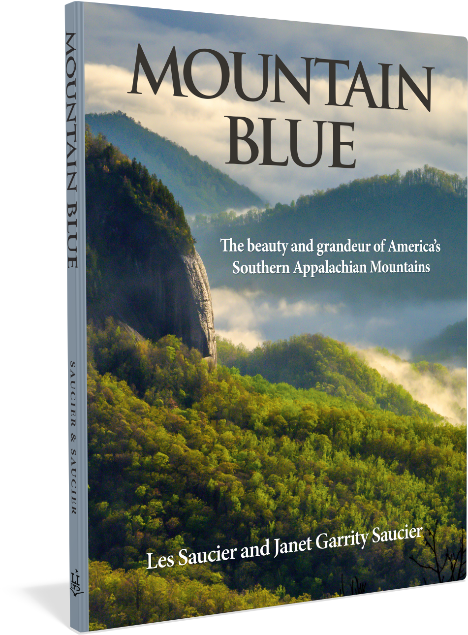 Your Shopping Cart - Poster (1600x1341), Png Download