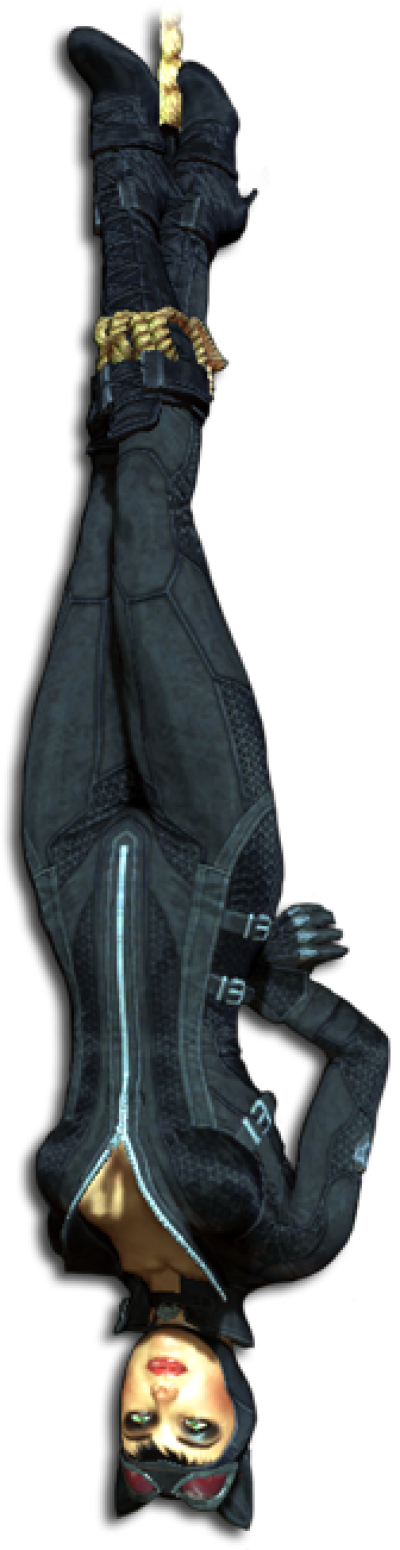Catwoman Up Down - Batman Arkham City Catwoman (400x1550), Png Download