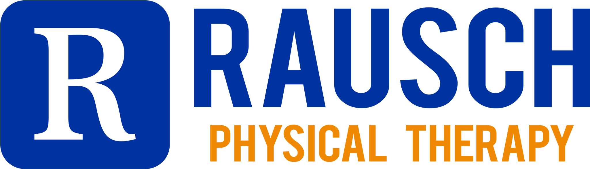 Rausch Physical Therapy & Sports Performance - Oval (2400x689), Png Download