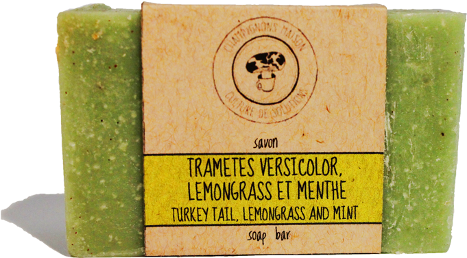 Green Turekey Tail, Lemongrass, Mint Mycomedicinal - Soap (700x700), Png Download