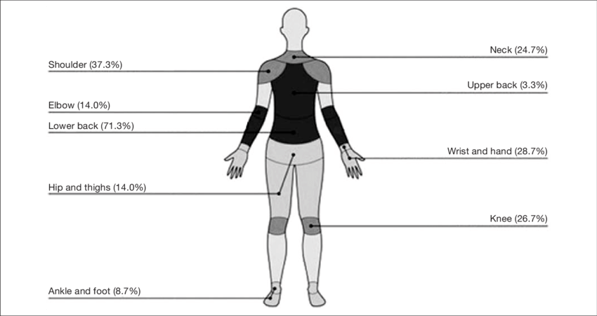 Prevalence Of Musculoskeletal Pain Reported To By Farmers - Illustration (850x451), Png Download
