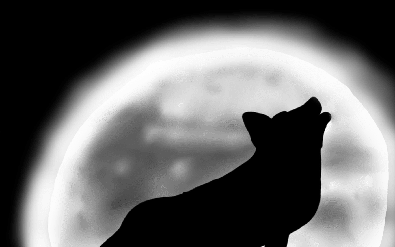19 Wolf Howling At The Moon Svg Transparent Huge Freebie - Silhouette (1368x855), Png Download