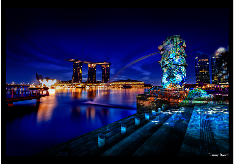 Reflection (991x557), Png Download