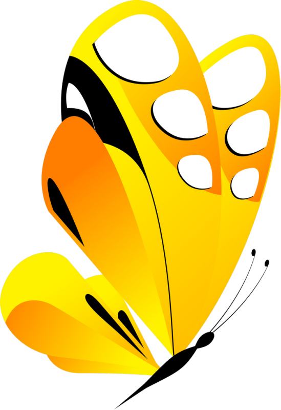 ‿✿⁀butterflies‿✿⁀ Butterfly Clip Art, Butterfly Pictures, - Clip Art (549x800), Png Download