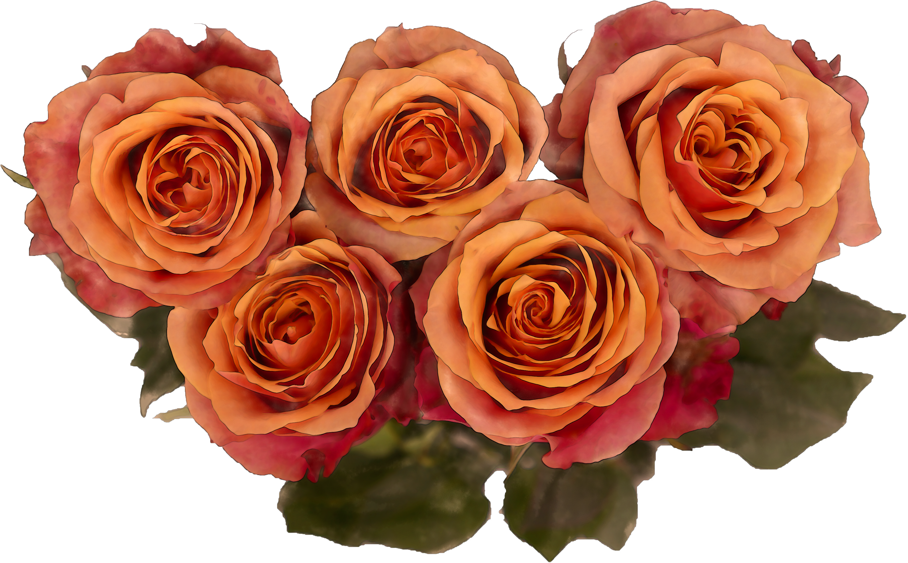 Watercolor Royalty Free Roses Png - Garden Roses (4000x2880), Png Download