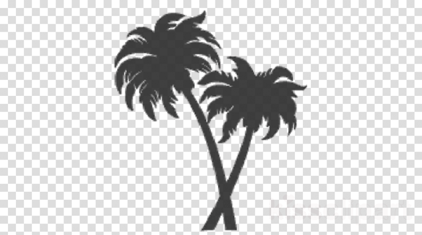 Free Png Download Silhouette Palm Trees Png Images - Picsart Hair Style Png (850x473), Png Download