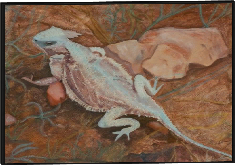 Large Zoo Mural 7 - Watercolor Painting Of Desert Animals (974x974), Png Download
